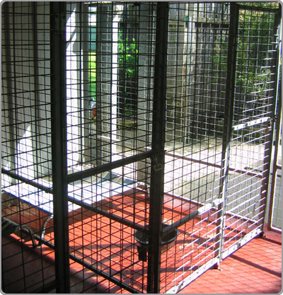 All BreedsBoarding Kennels Cattery Dog Accomodation